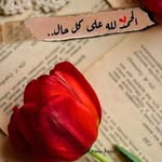 Yasmin Ashour - @wardaalholo - Instagram