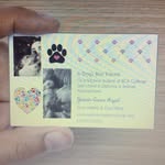 Yasmin Azad - @_a_dogs_best_friend_ - Instagram