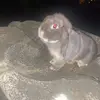 Yasmin Hunter - @yasi.h1 - TikTok