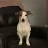 Yasmin - @yasminjackson1 - TikTok