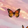 yasmin jaffer - @yasmin_jaffer - TikTok