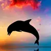 yasmin.jaffer - @yasmin.jaffer05 - TikTok