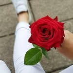 yasmin mansuri - @yasminmansuri86 - Instagram