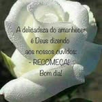 yasminebecker_1212 - @yasminebecker_ - Instagram
