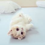 Yasmine Benderouiche - @yasminebenderouiche - Instagram