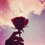 ياسو🌸💛 - @yasmine_.bitar - Instagram