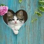 yasmine - @yasmine_bitar_eps_bouguerra - Instagram