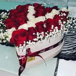 yasmine kheddar - @yasmine_daniel_ - Instagram