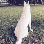 Lambert Yasmine - @lambert.yasmine.92 - Instagram