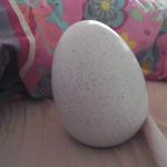 Yasmine phillips-radburn - @kieraphillips1263 - Instagram