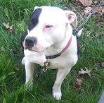 Yasmine Simpson - Facebook