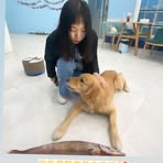 Yasmine Yang - Facebook