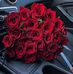 Yasmine Zayed - Facebook