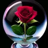 Yasser Abbas Haideri - @yasser.abbas.haid7 - TikTok