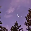 yasser - @yasserabbas646 - TikTok