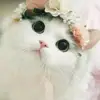 Yasser Abdullah - @yasser.abdullah91 - TikTok