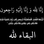 Yasser Adly - @yasser.adly - Instagram