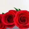 Yasser ashkar - @yasserashkar6 - TikTok