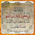 Yasser Abdel Kader - @abdelkader2694 - Instagram