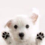 Yawen Li - @katzenartig32 - Instagram