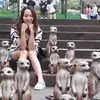 Yawen Li - @yawenli1 - TikTok