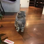 Yawen Li - @likecat1980 - Instagram