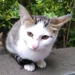 Yawen Li - @yabudori - Instagram