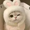 yawen li - @yawen.li06 - TikTok