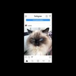 Yc Wong - @yc.wong2 - Instagram