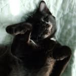 J_And_Yebai - @j_and_yebai - Instagram