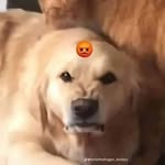 ÜṄƘṄÖẄN̈ - @yebai2000 - Instagram