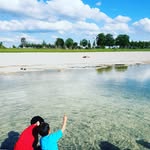 Life in...  🇰🇷🇳🇱🇩🇪👨‍👩‍👧‍👦💓🐶+🍜 - @ye_lee - Instagram