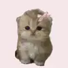 yeecha - @eli.wely - TikTok