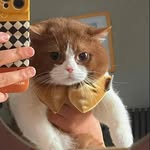 YEECHANG - @yeechang97 - Instagram