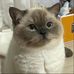 Yee Chee - Facebook