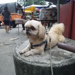 Tai Yee Chung - Facebook