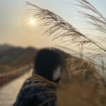 Yee Chung - @y22chung - Instagram