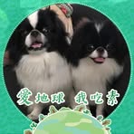 Yee Chan Gan - Facebook