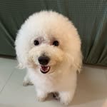 Yee Her - @yuuher - Instagram