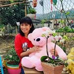 Wing Yee Law - @wingyee0508 - Instagram