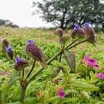 Yee Law - @yeelawlaw - Instagram