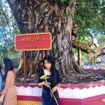 Myint Nan Dar Yee - @yeemyintnan - Instagram