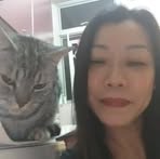 Yee  Tse - Facebook