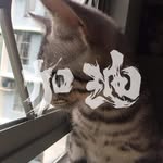 Yee  Tse - @yee.tse.10 - Instagram