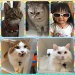 Yee Tse - @yee.tse - Instagram
