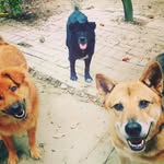 Yee Man Lee - @yeemanlee01 - Instagram