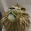 יהודה לוי - @yehudalevi0 - TikTok