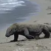 Yehuda Levi - @yehuda.levi32 - TikTok