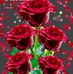 Youda Mondal - Facebook