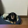 yejihan726 - @yejihan726 - TikTok